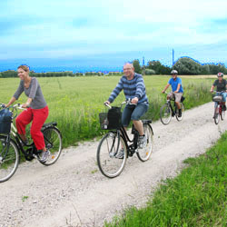 Guided bike tour to the south of Malmö